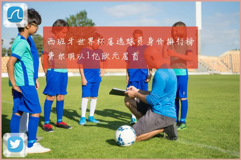 西班牙世界杯落选球员身价排行榜费尔明以1亿欧元居首