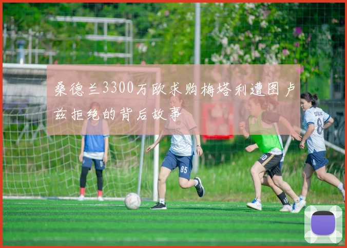 桑德兰3300万欧求购梅塔利遭图卢兹拒绝的背后故事