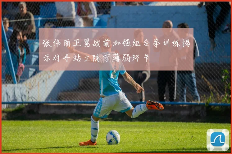 张伟丽卫冕战前加强组合拳训练揭示对手站立防守薄弱环节